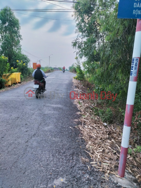 Property Search Vietnam | OneDay | Residential Sales Listings | BEAUTIFUL LAND - GOOD PRICE - OWNER Urgently Selling Lot of Land in Nice Location in Tan Lap 2 Commune, Tan Phuoc District, Tien Giang