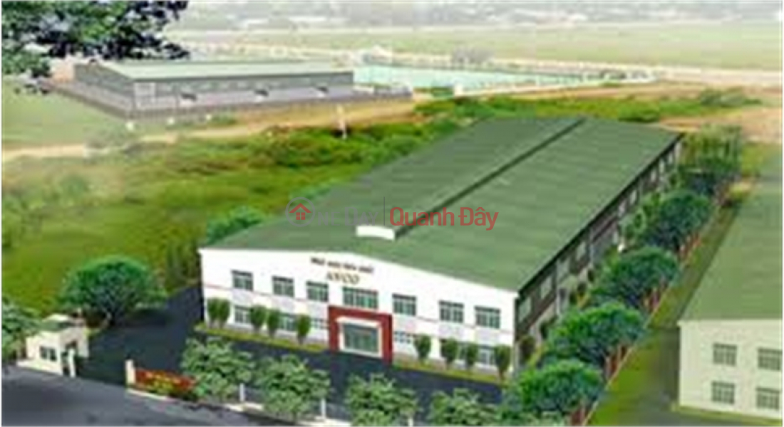 Property Search Vietnam | OneDay | Office / Commercial Property | Sales Listings Selling 3.3ha of warehouse land for 50 years at Tan Quang Industrial Park, Hung Yen Province