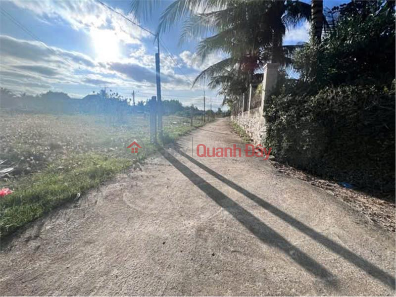 Property Search Vietnam | OneDay | Residential Sales Listings, BEAUTIFUL LAND - GOOD PRICE - QUICK SALE OF LAND PLOT IN Ninh Xuan Commune - Ninh Hoa Town - Khanh Hoa Province