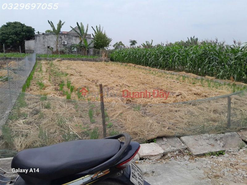 Cần tiền bán nhanh lô đất siêu đẹp trung tâm thị trấn Quất Lâm, Dt 212m2, giá 2,1 tỷ Niêm yết bán