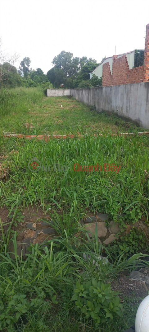 PROFITABLE INVESTMENT – OWNER NEEDS TO SELL LAND in Chau Pha Commune, Phu My Town, Ba Ria - Vung Tau Province _0