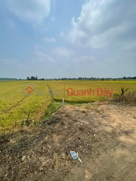 ₫ 550 Million, BEAUTIFUL LAND - GOOD PRICE - For Quick Sale Land Lot Location In An Chau Town - Chau Thanh - An Giang