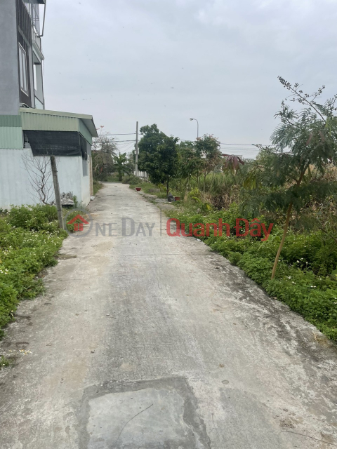 Urgent sale of land plot of 54m², lane 3m at 312 Cat Linh, Trang Cat, Hai An. _0