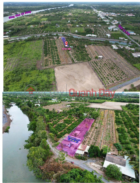 Property Search Vietnam | OneDay | Nhà ở | Niêm yết bán | Chính Chủ BÁN NHÀ VƯỜN - VIEW SÔNG - Tại Xã Thạnh Hòa, Huyện Bến Lức, Tỉnh Long An