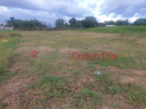 BEAUTIFUL LAND - GOOD PRICE - For Sale Land Lot Nice Location In Thanh Loc Commune, Chau Thanh District, Kien Giang _0