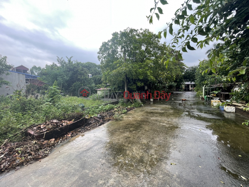 The owner offers to sell a beautiful square plot of land with 102 square meters in Tan Binh area, Xuan Mai town, Chuong My, Hanoi. Sales Listings