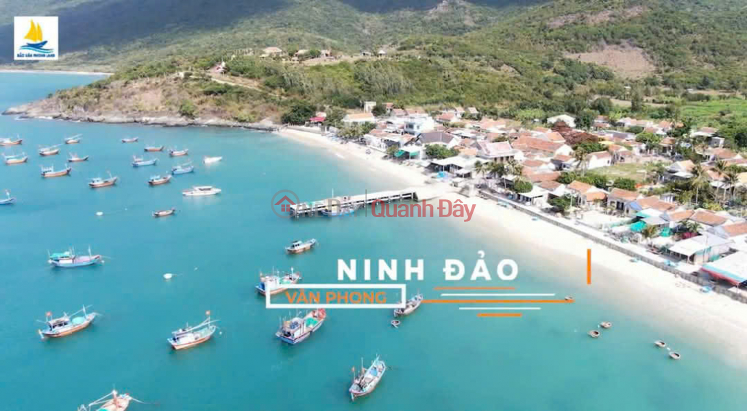 Land project NINH DAO SEAFRONT Sales Listings (848-8010276042)
