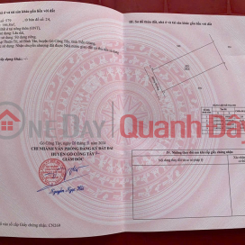 BEAUTIFUL LAND - GOOD PRICE - URGENTLY SELLING A PLOT OF POTENTIAL LAND IN BINH TAN COMMUNE, GO CONG TAY, TIEN Giang _0