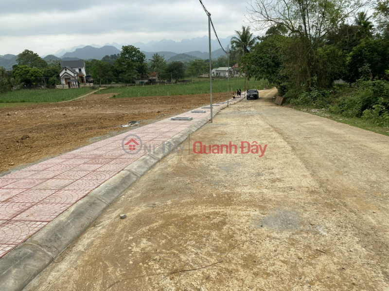 Beautiful Land - Good Price - Owner Needs to Sell Land Lot in Beautiful Location in Thach Quang Thach Thanh Commune - Thanh Hoa. | Vietnam Sales | đ 210 Million