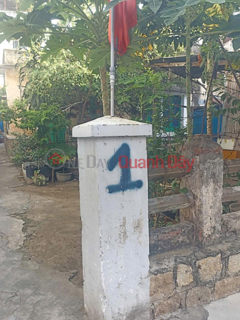 Owner Sells Land Lot Fronting Tran Quoc Toan Street, Van Thang - Central Location of Nha Trang City! _0