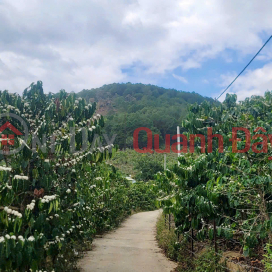 CẦN BÁN 6525M ĐẤT SỔ RIÊNG TÀ NUNG ĐÀ LẠT - giá chỉ 6 tỷ _0