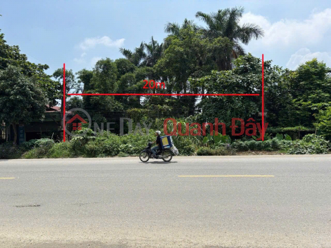 [Owner] Selling a 1000m2 plot of land, 20m frontage, along National Highway 21, opposite Forestry University, view of Xuan Mai Lake _0