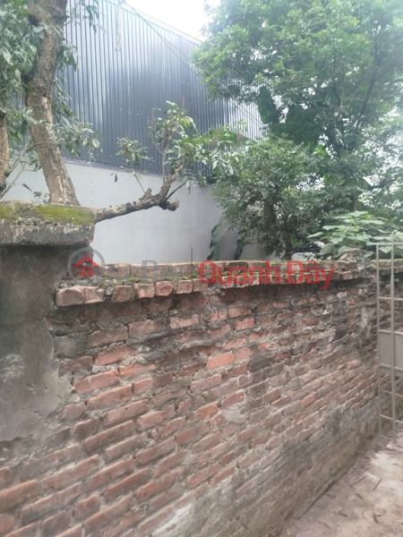 ĐẤT ĐẸP - GIÁ TỐT CHÍNH CHỦ CẦN BÁN ĐẤT THỔ CƯ -xã PHỤNG CHÂU, CHƯƠNG MỸ, HÀ NỘI | Việt Nam Bán, đ 6,05 tỷ