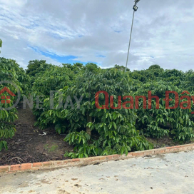 Bán 21000m2 ( 21 sào ) đất nhà , ao, vườn cà phê -Xã Liên Hiệp - Đức Trọng Lâm Đồng _0