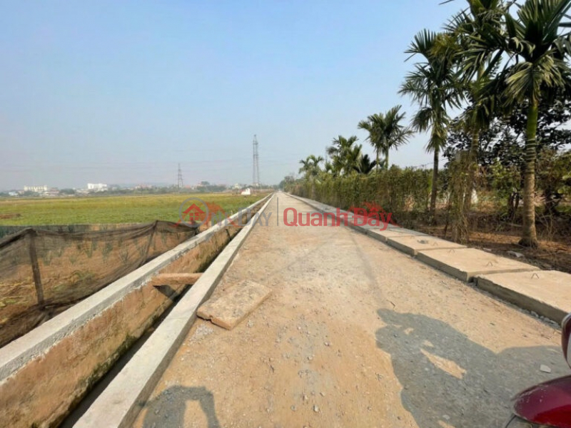 Property Search Vietnam | OneDay | Residential Sales Listings, RARE GOODS 63.4M LAND IN CHUC SON TOWN - CHUONG MY - HANOI