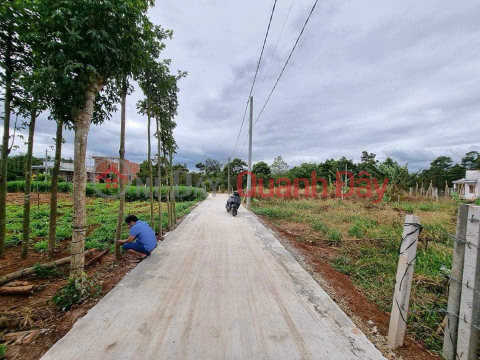 CHÍNH CHỦ Cần Bán Nhanh Nền Tại Xã Bàu Chinh, Châu Đức, Bà Rịa Vũng Tàu _0