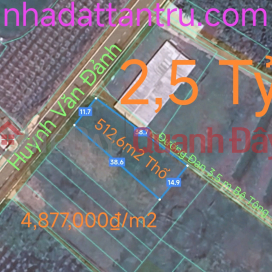 Urgent sale at low price of Tan Tru land with two frontages near Highway 50B for 2.5 billion _0