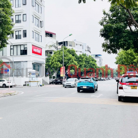 Lam Ha mini villa, 90m², 5.6m frontage, subdivided plot with car access, close to the road connecting to Tran Hung Dao bridge. _0