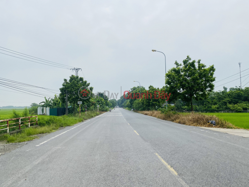 Property Search Vietnam | OneDay | Residential | Sales Listings, For sale 62.2m2 Yen Xuan Non street 4m-5m pine road, extremely cheap price, Contact 0961635833