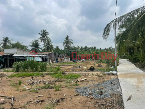 BEAUTIFUL LAND - GOOD PRICE - Own Land Lot Right Now Location In Go Cong Tay district - Tien Giang _0