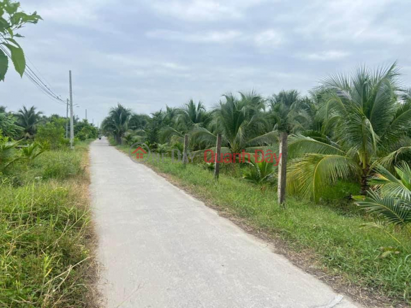 OWNER Sells 8.8 Contaminated Coconut Land, Cheap Price In An Hoa, Chau Thanh, Ben Tre Sales Listings