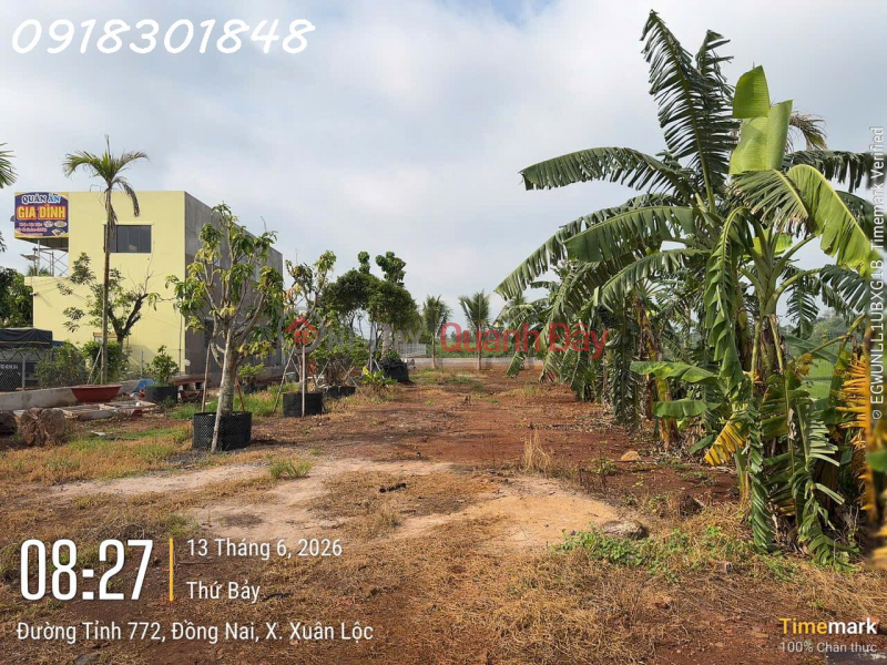 Property Search Vietnam | OneDay | Nhà ở Niêm yết bán | Siêu phẩm đất mặt tiền đường tỉnh lộ 772, Xuân Lộc, Đồng Nai, DT 1.230m2, giá đầu tư