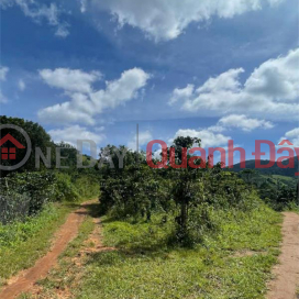Cần tiền bán nhanh đất rẫy tại Tà Nung, p.Cam Ly, Đà Lạt,giá chỉ 160tr/sào có thương lượng Cần tiền bán nhanh đất rẫy tại Tà Nung, p.Cam Ly, Đà Lạt,giá chỉ 160tr/sào có thương lượng _0