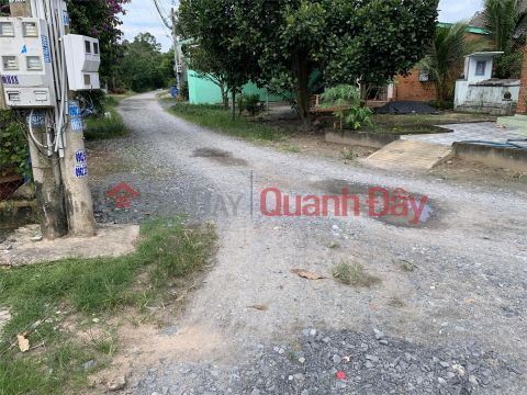 PRIMARY LAND - FOR QUICK SALE Beautiful LAND LOT in Trang Bang, Tay Ninh _0