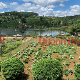 Owner sells 1000m2 garden in Gia Nghia city for only 220 million _0