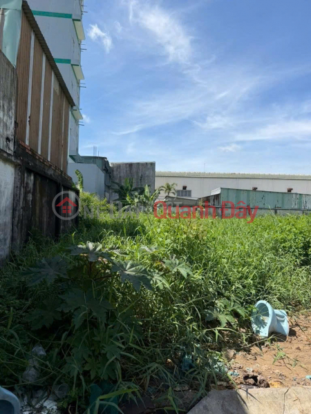 Giảm ngay 50 triệu, đất thổ cư Thế Lữ, Bình Chánh 100m2, giá cũ 3 tỷ nay chỉ 2 tỷ 950 Việt Nam, Bán, đ 2,95 tỷ