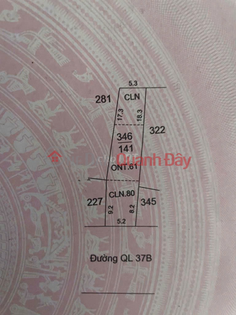 OWNER SELLS LOT OF LAND FRONT OF QL37B, YEN DINH TOUR, HAI HAU, NAM DINH _0