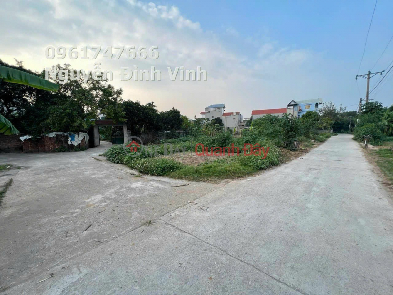 đ 1.25 Billion PRICE ONLY 1TY250 TO OWN A BEAUTIFUL LOT OF LAND IN THUY HUONG-CHUONG MY