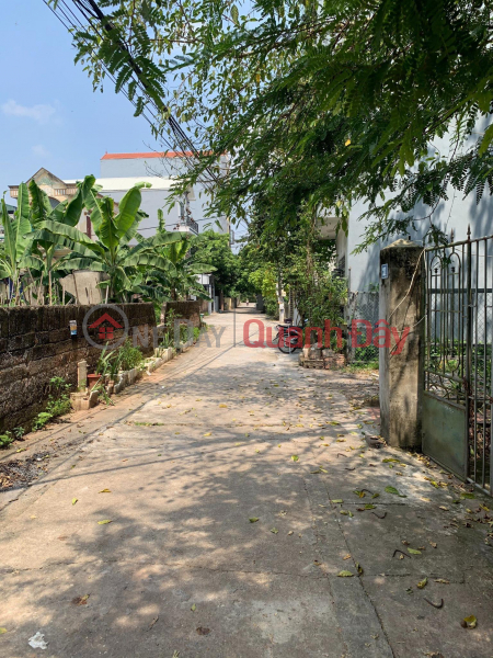 Property Search Vietnam | OneDay | Residential, Sales Listings | Urgent sale of land 350m2, group 14 Yen Nghia, car to the ground near the front of 10m2 investment price