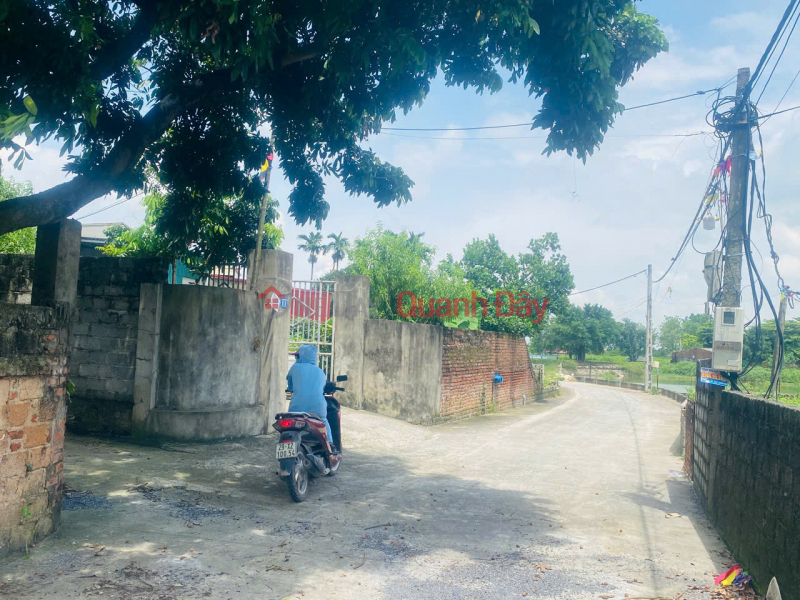  Please Select, Residential, Sales Listings, đ 10 Million