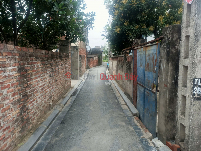 Property Search Vietnam | OneDay | Nhà ở Niêm yết bán | BÁN ĐẤT 54.4M2 MẠNH TÂN THỤY LÂM ĐÔNG ANH - Ô TÔ VÀO ĐẤT CHỈ NHỈNH 3 TỶ