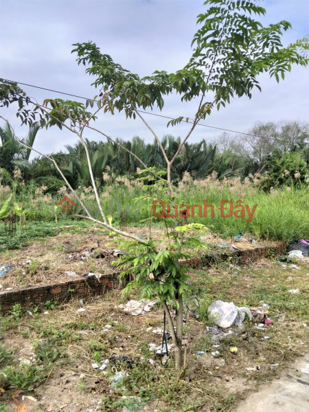 PRIME LAND – INVESTMENT PRICE - OWNER NEEDS TO SELL A PLOT OF LAND IN DA PHUOC COMMUNE, BINH CHANH DISTRICT, HO CHI MINH CITY Vietnam Sales, đ 2.2 Billion
