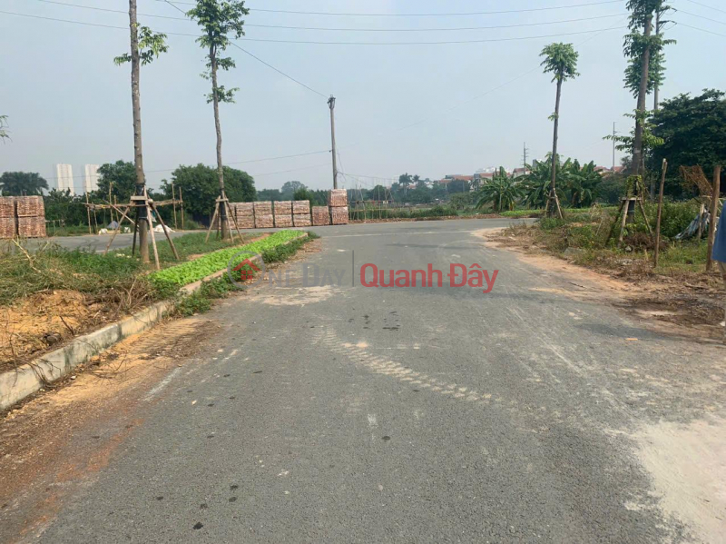 Property Search Vietnam | OneDay | Residential Sales Listings, BEAUTIFUL LAND - PROFITABLE INVESTMENT - Need to sell service land in area 25.2 Van Canh, Hoai Duc - Hanoi, super beautiful