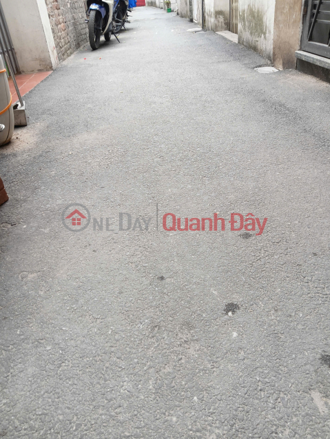 Hot items on Truong Lam Street - Long Bien. _0