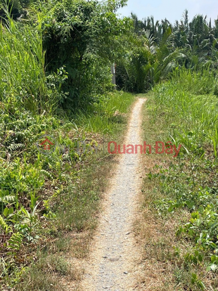  Làm ơn chọn, Nhà ở | Niêm yết bán, đ 4,5 tỷ