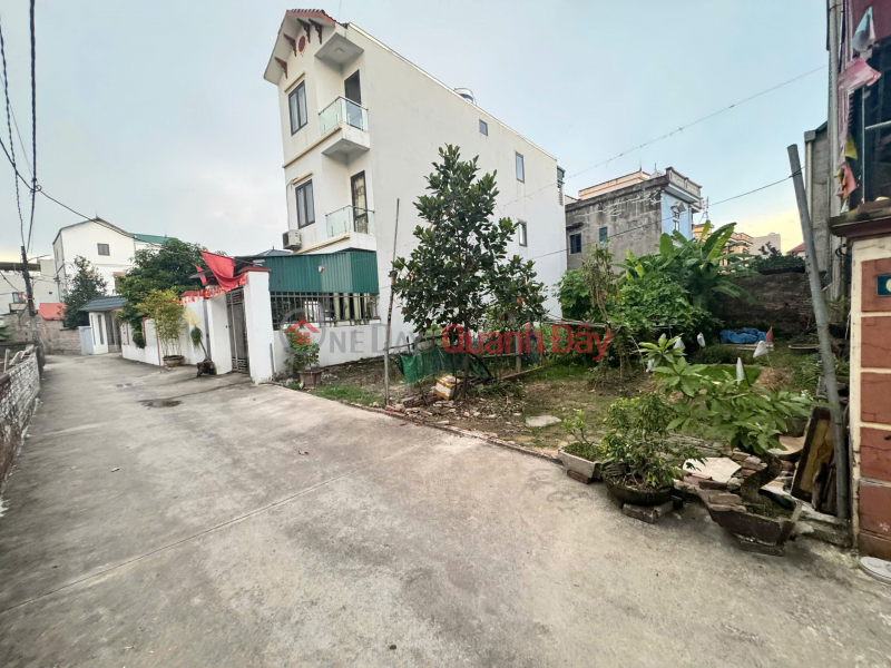 Land for sale in Co Duong, Tien Duong - 94.6m2 - Car alley - Near the edge Sales Listings