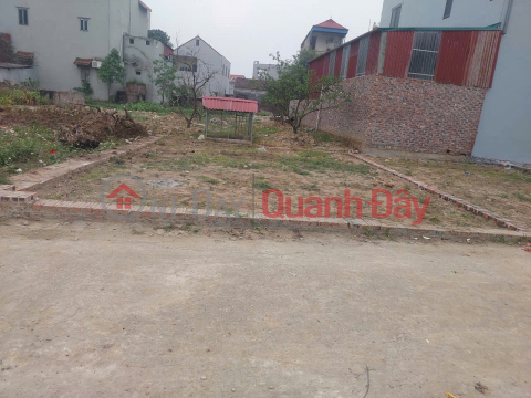 Urgent sale of 50m2 of land in group 9, Quang Minh, Me Linh. (Now Ap Tre village). Full residential land, wide frontage. _0