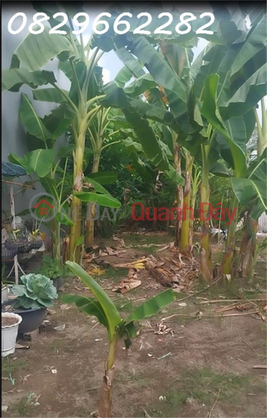 Làm ơn chọn Nhà ở Niêm yết bán đ 1,1 tỷ