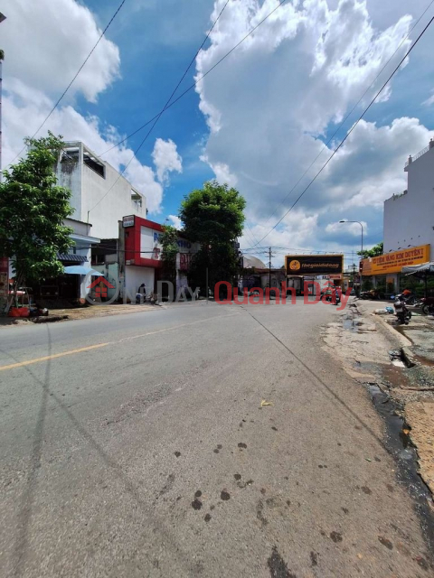 House for sale 1T3L front junction Duong Thi Muoi - Nguyen Anh Thu only 8ty _0