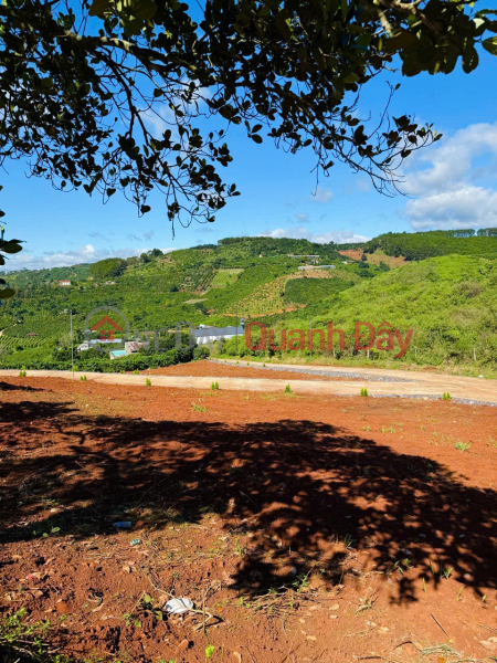 | Please Select Residential, Sales Listings đ 980 Million