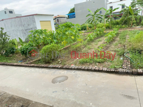 Chính chủ cần tiền gửi bán mảnh đất tại tổ 9 Quang Minh, Mê Linh. Tiện ích ngập tràn _0