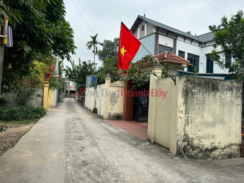 Beautiful corner lot 100m2 full residential land in the center of Chuong My contract commune, Vietnam | Sales đ 1.5 Billion