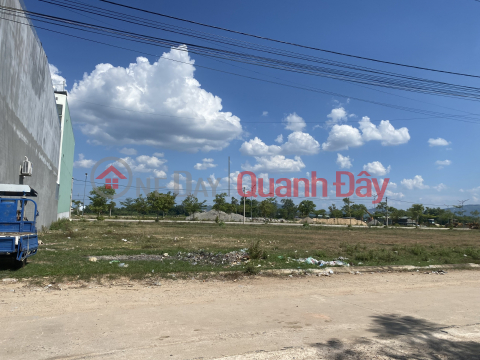 Land for sale opposite famous tourist destination An Nhon - Binh Dinh _0