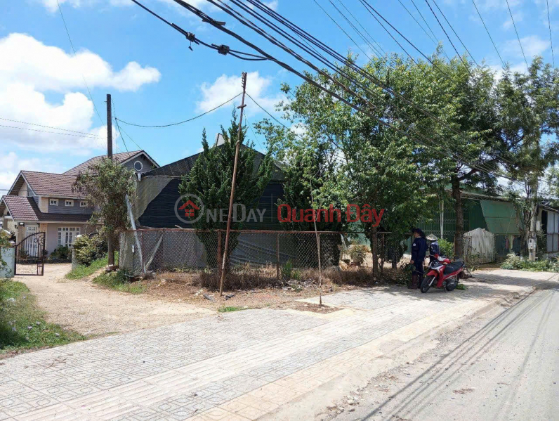 đ 10 Billion HOT HOT - AGRICULTURAL LAND FOR SALE ON Huynh Tan Phat Street, Ward 11, Da Lat City, Lam Dong