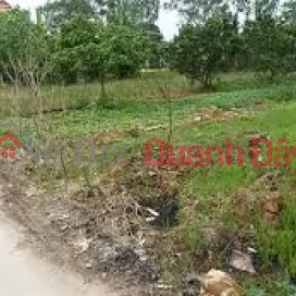 Urgent sale of garden land by owner at alley Duong Ky Hiep street, Ward 2, Soc Trang City, Soc Trang Province _0