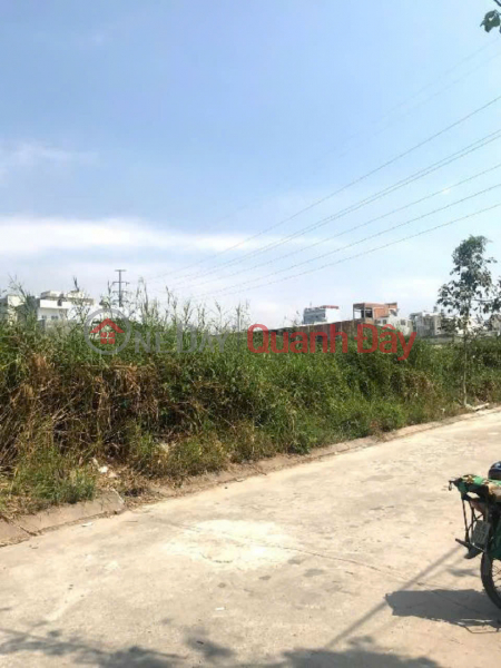 Property Search Vietnam | OneDay | Residential | Sales Listings | Selling many beautiful plots of land in Thanh Loc ward, only 1.5km from National Highway 1A and Ga intersection